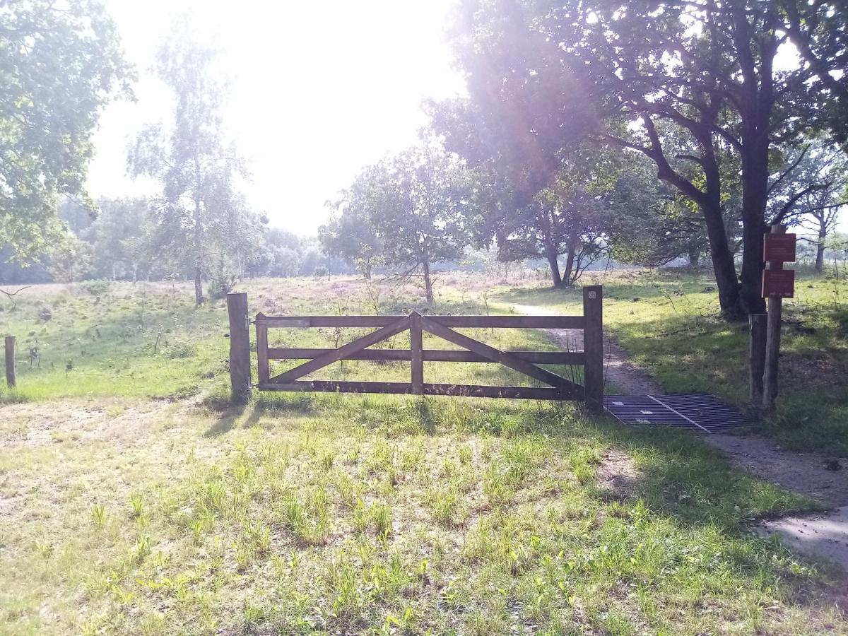 Vila rikobravo Meppen Exteriér fotografie