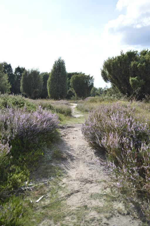 Vila rikobravo Meppen Exteriér fotografie